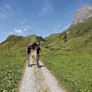 Adler fotoÄŸrafÄ±