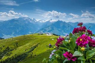 Pinzgauerhof fotoÄŸrafÄ±