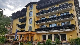 Pinzgauerhof otel fotoğrafı