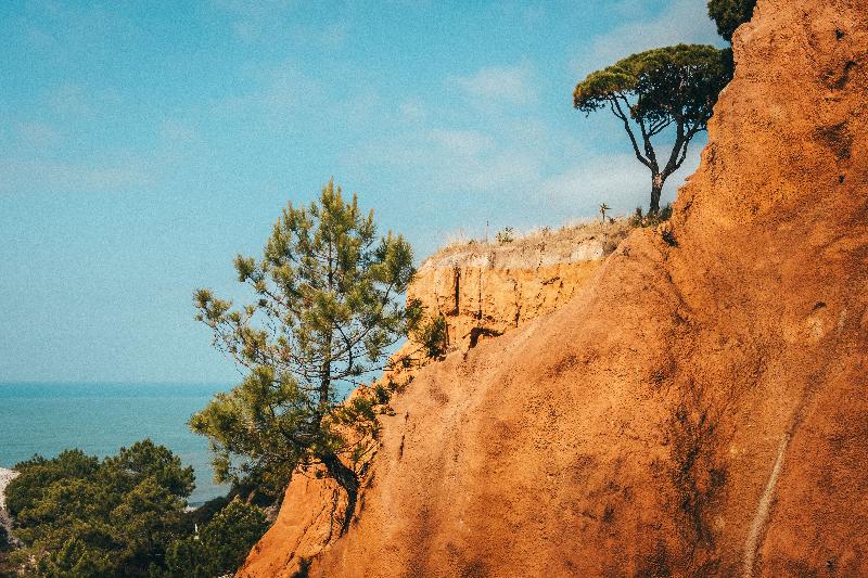Pine Cliffs Hotel, a Luxury Collection Resort - Plaj
