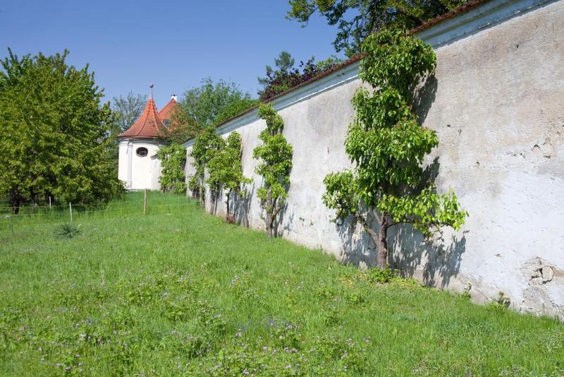 Kloster Holzen - Genel