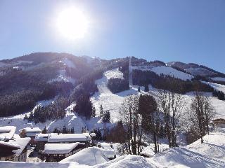 Saalbacher Hof fotoÄŸrafÄ±