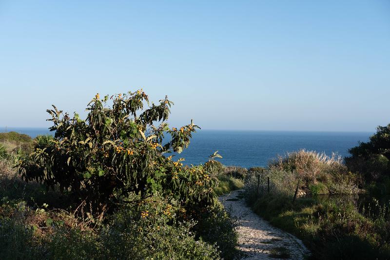 Quinta do Mar Country & Sea Village - Genel