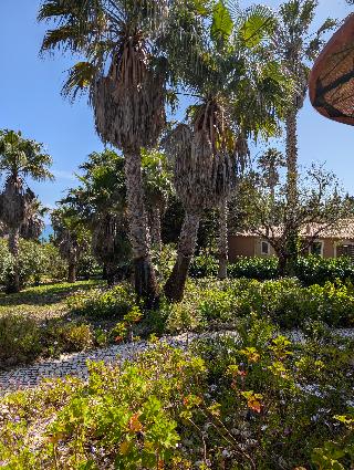 Quinta do Mar Country & Sea Village fotoÄŸrafÄ±