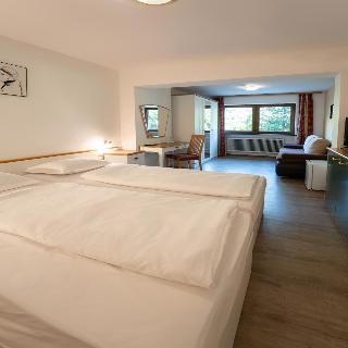 Alpenhotel Edelweiss fotoÄŸrafÄ±