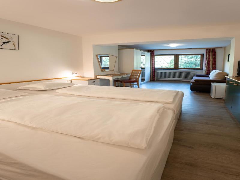 Alpenhotel Edelweiss - Genel