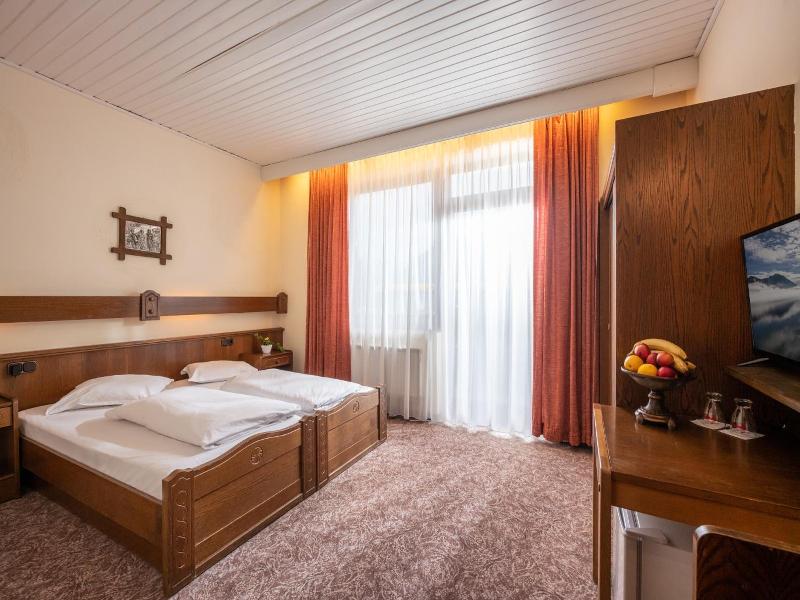 Alpenhotel Edelweiss - Genel