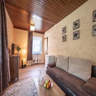 Alpenhotel Edelweiss fotoÄŸrafÄ±