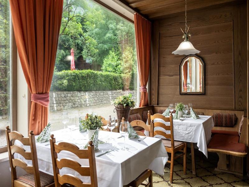 Alpenhotel Edelweiss - Genel