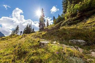 Gasthof Spullersee fotoÄŸrafÄ±