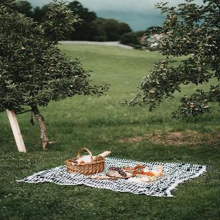 Ferner's Rosenhof fotoÄŸrafÄ±