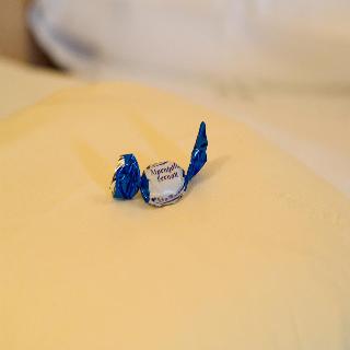 Alpenhotel Fernau fotoÄŸrafÄ±