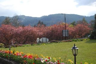 Westlands fotoÄŸrafÄ±
