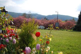 Westlands fotoÄŸrafÄ±