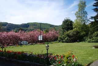Westlands fotoÄŸrafÄ±