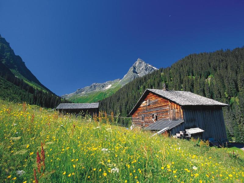 T3 Alpenhotel Garfrescha - Genel