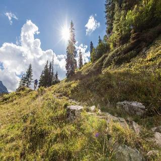 T3 Alpenhotel Garfrescha fotoÄŸrafÄ±