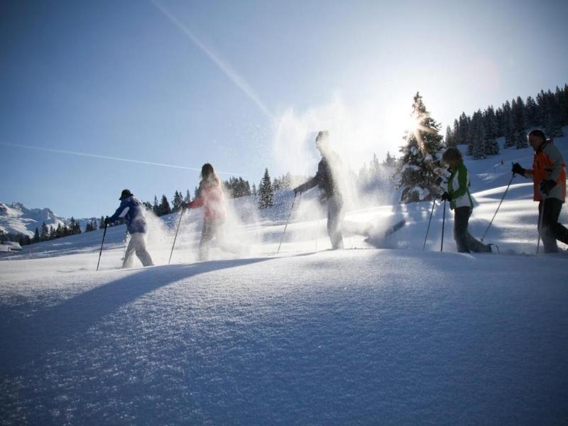 T3 Alpenhotel Garfrescha - Genel