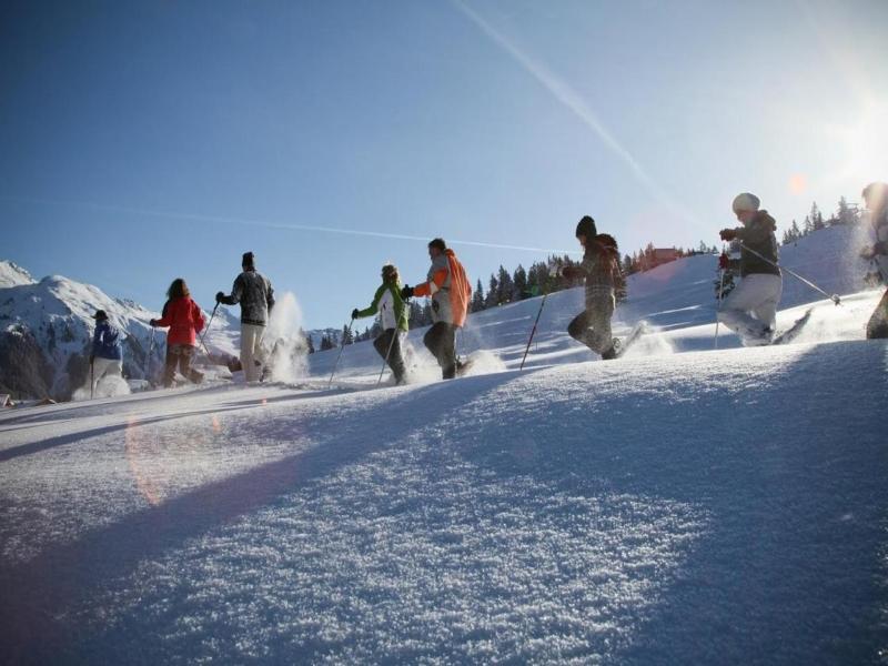 T3 Alpenhotel Garfrescha - Genel