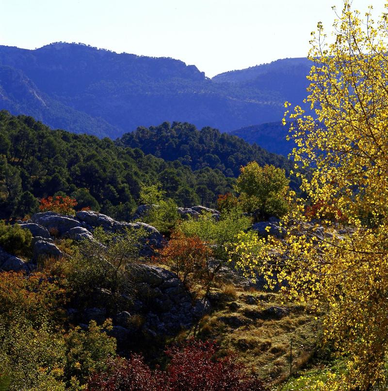 Parador de Cazorla - Oda