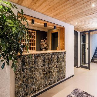 Alpenhotel Erzherzog Johann fotoÄŸrafÄ±