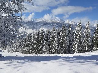 Pension Tuxerhof fotoÄŸrafÄ±