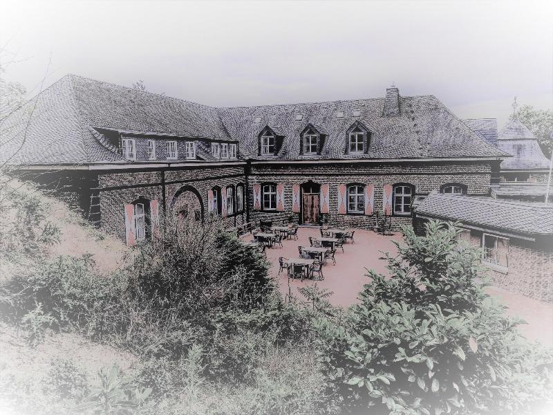 Burg Wassenberg - Genel