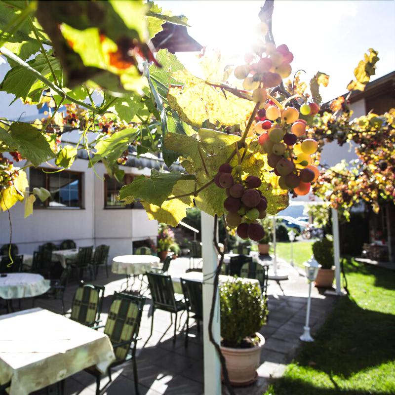 Jäger - Teras