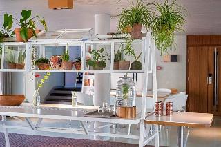 blooming Hotel fotoÄŸrafÄ±