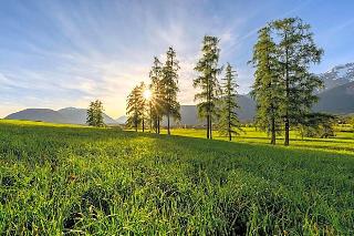 Rietzer Hof fotoÄŸrafÄ±