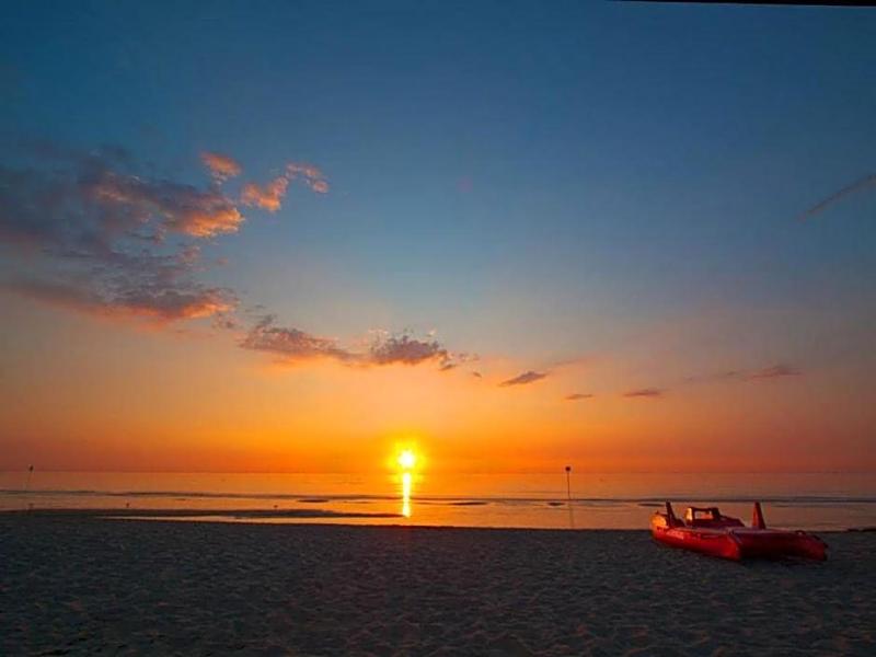 Beach - Genel