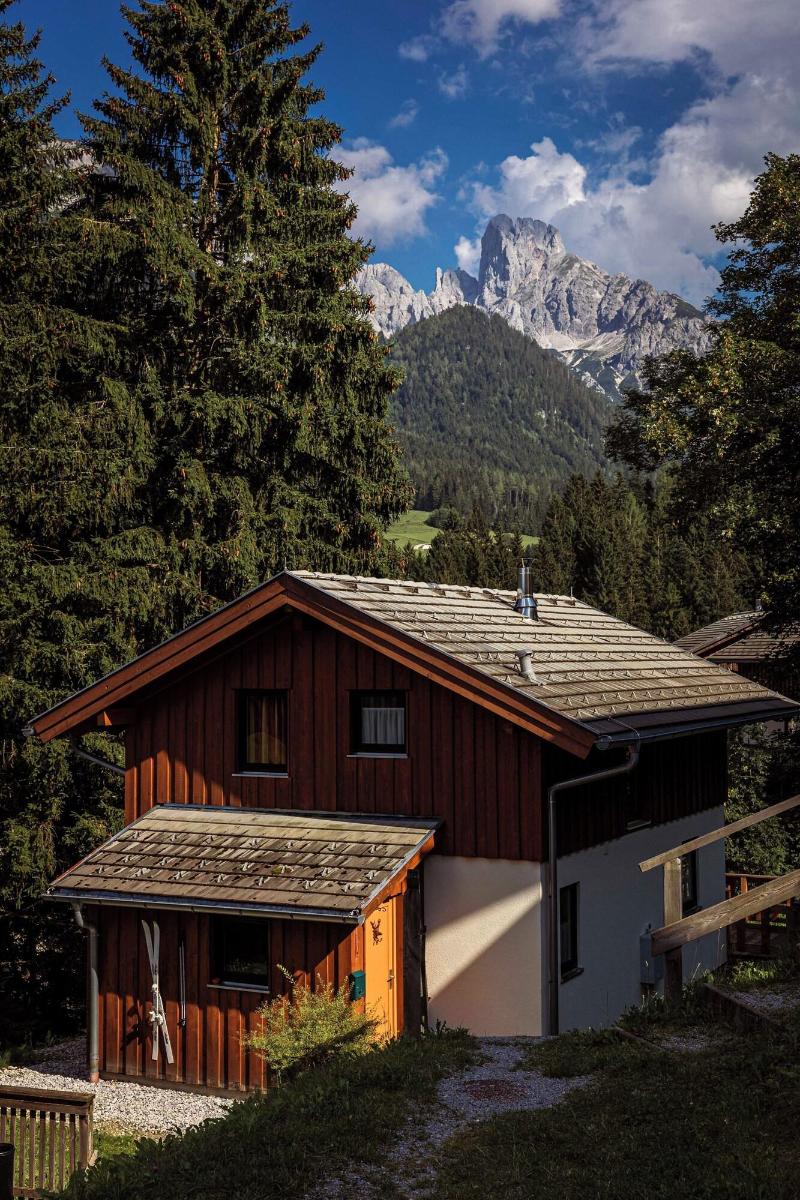 Alpendorf Dachstein-West - Genel