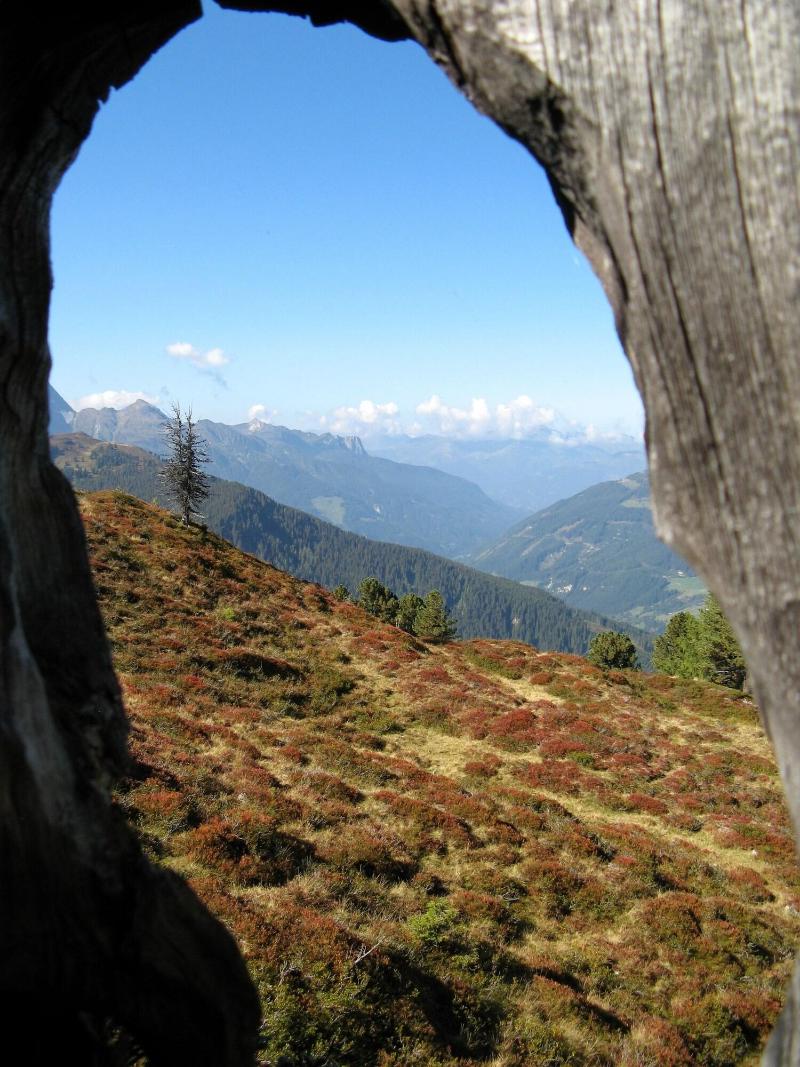 Alpenherz - Genel