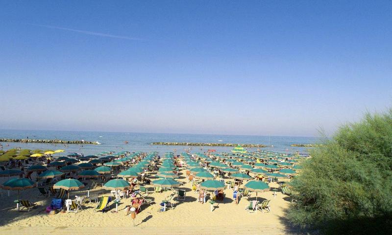 Grand Adriatico - Genel