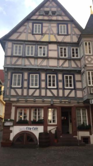 Schwanen fotoÄŸrafÄ±