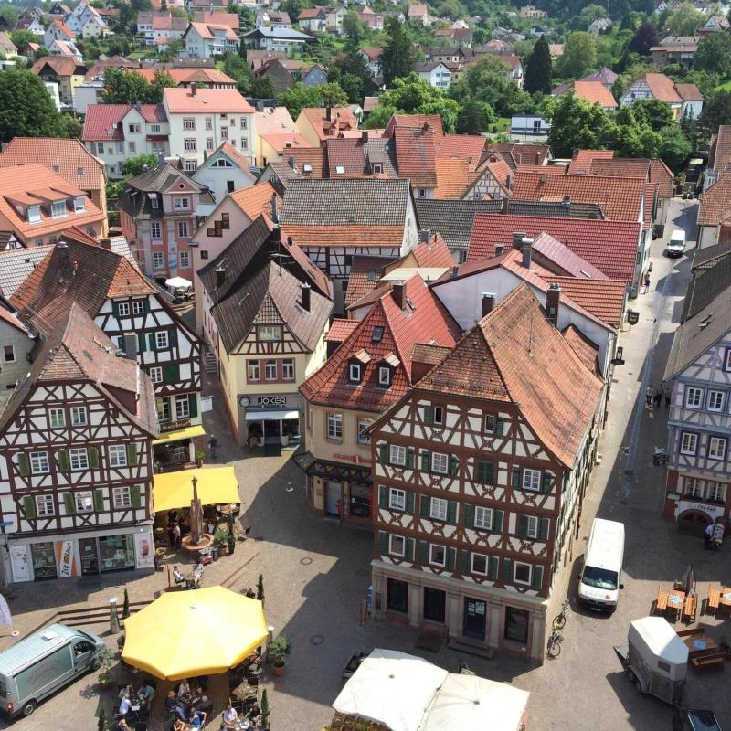 Schwanen - Genel