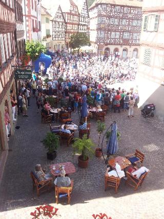 Schwanen fotoÄŸrafÄ±