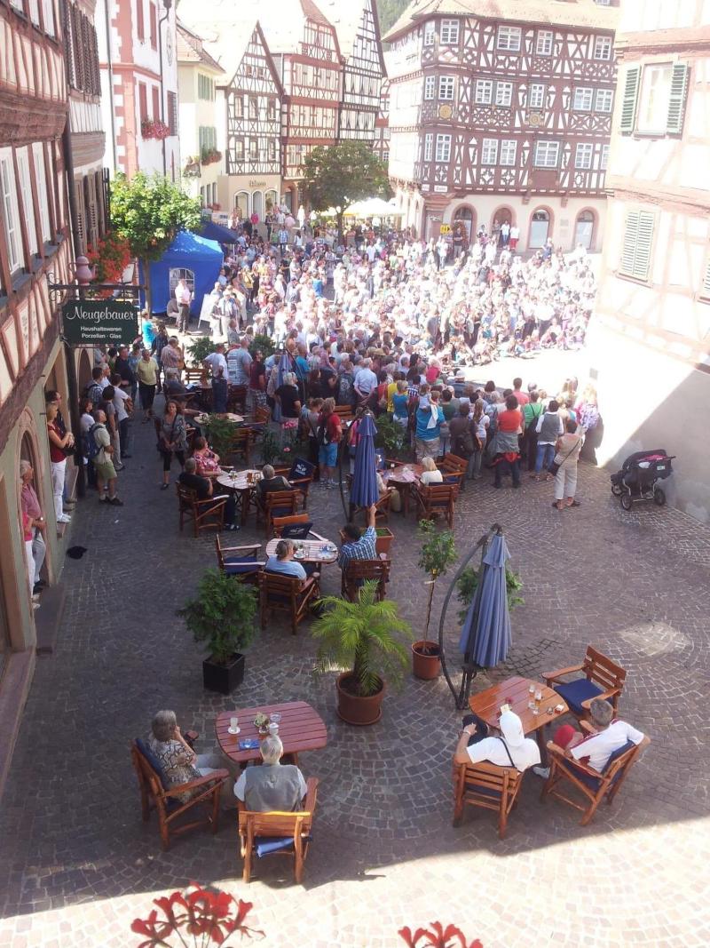 Schwanen - Genel