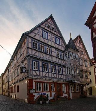 Schwanen fotoÄŸrafÄ±