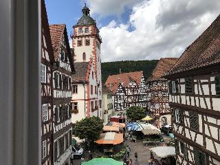 Schwanen fotoÄŸrafÄ±