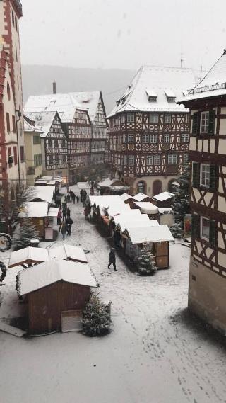 Schwanen fotoÄŸrafÄ±