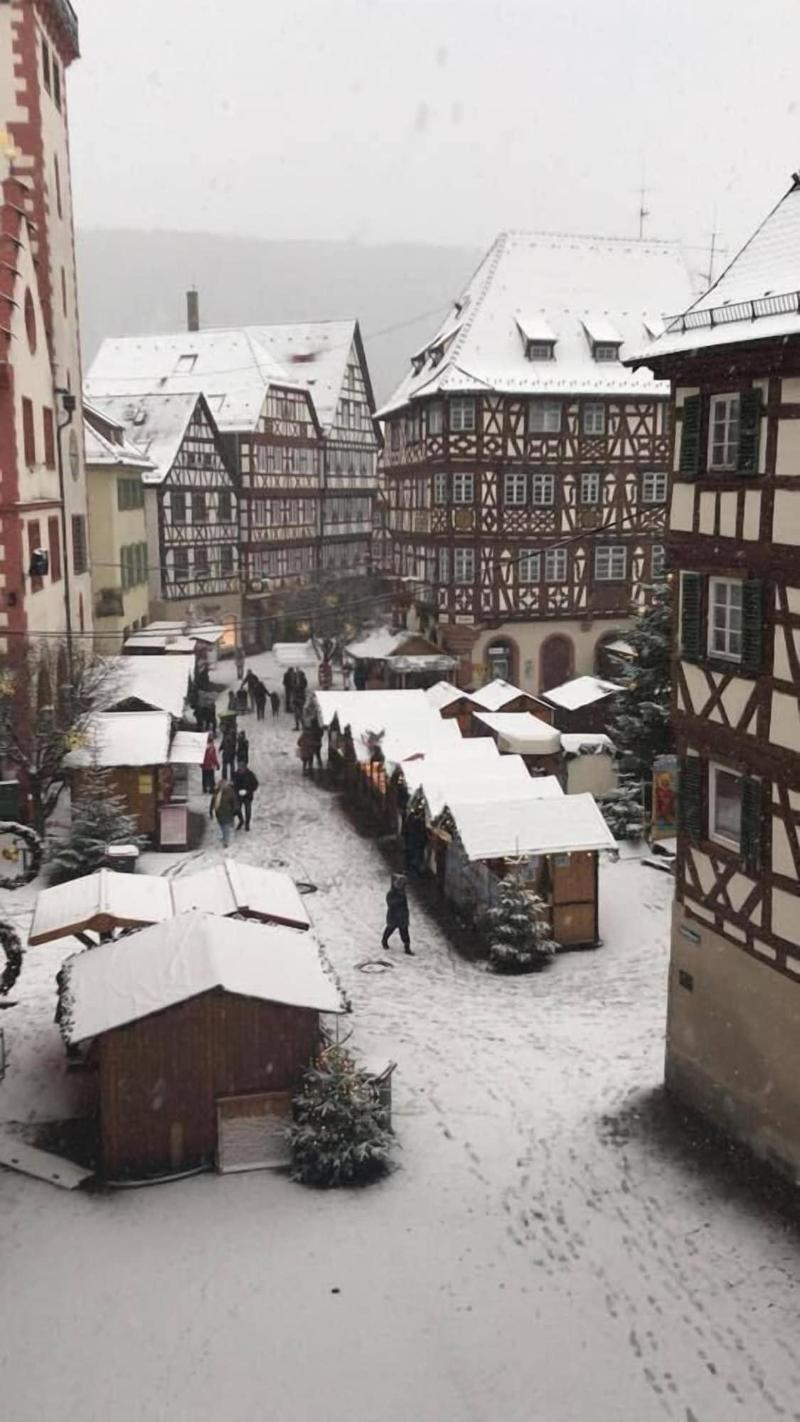 Schwanen - Genel