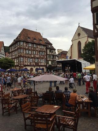 Schwanen fotoÄŸrafÄ±