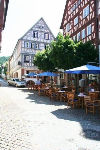 Schwanen fotoÄŸrafÄ±