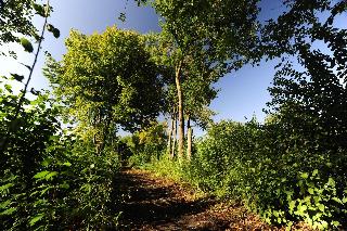 Waldbrunn Feriendorf fotoÄŸrafÄ±