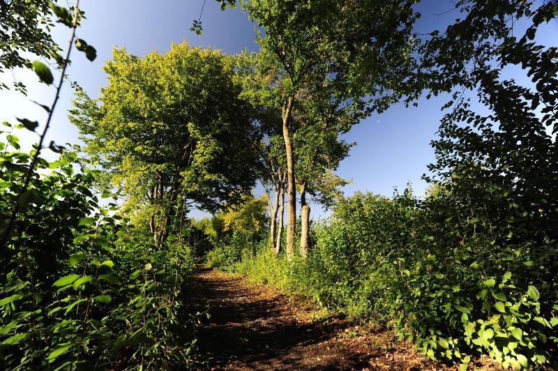 Waldbrunn Feriendorf - Genel