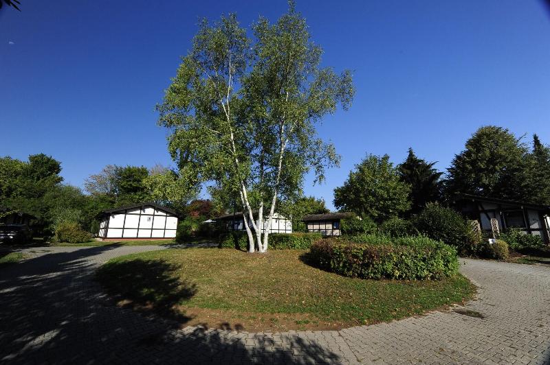 Waldbrunn Feriendorf - Genel