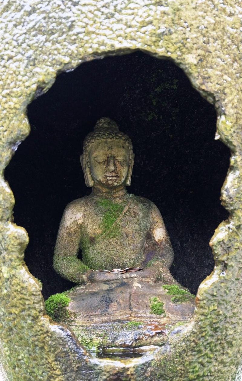 Austrian Garden - Lobi