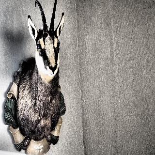 Das Wildeck fotoÄŸrafÄ±