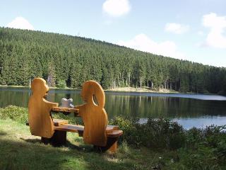 Hotel Njord fotoÄŸrafÄ±